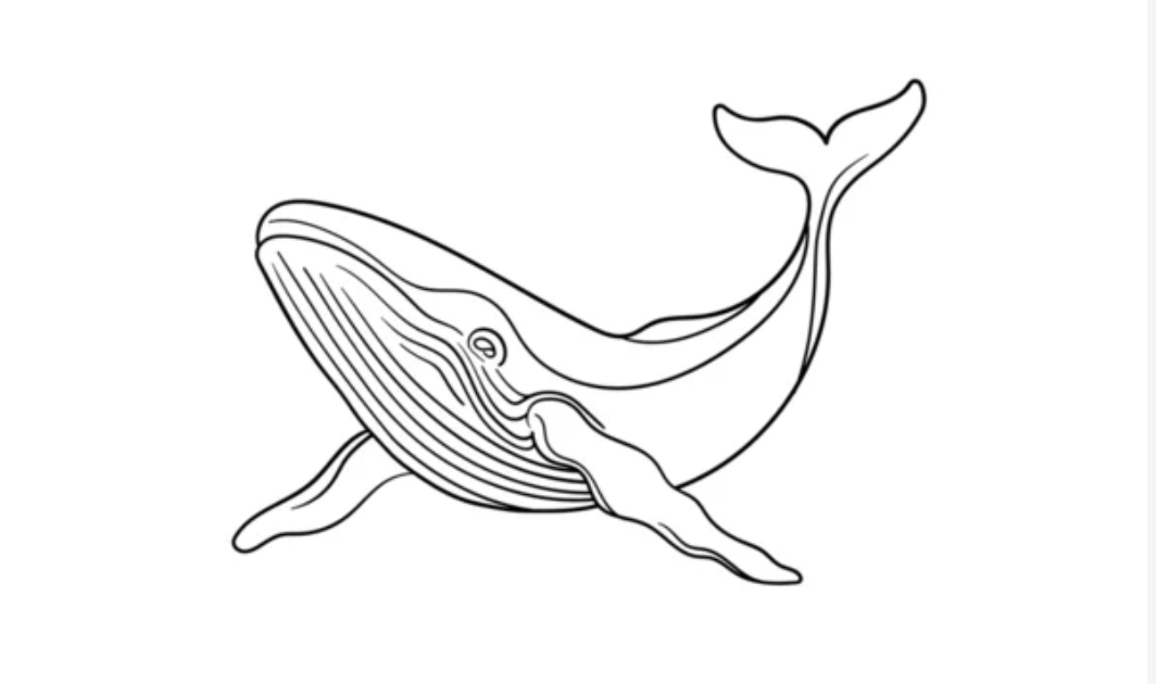 Whale