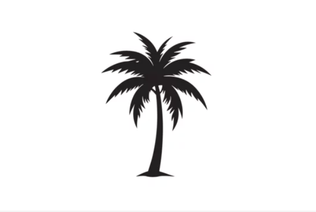 Palm Tree Tattoo